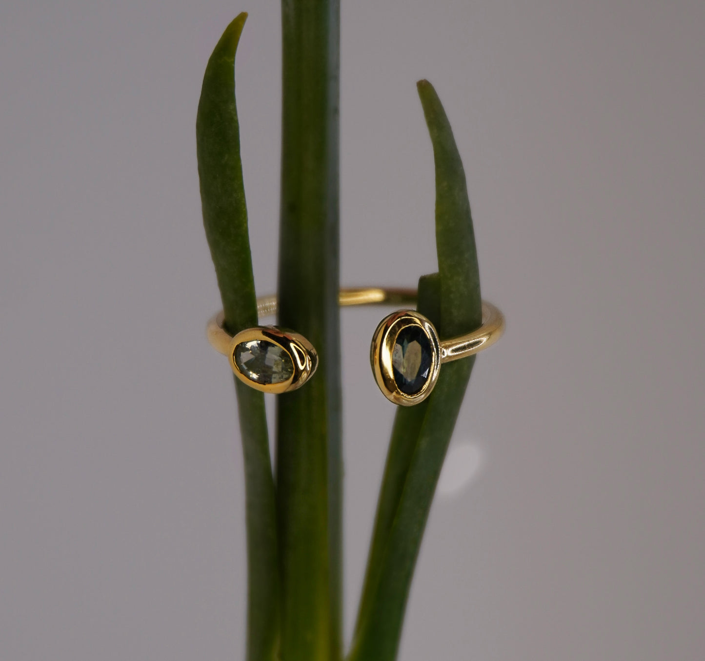 Double Apple Ring Pop