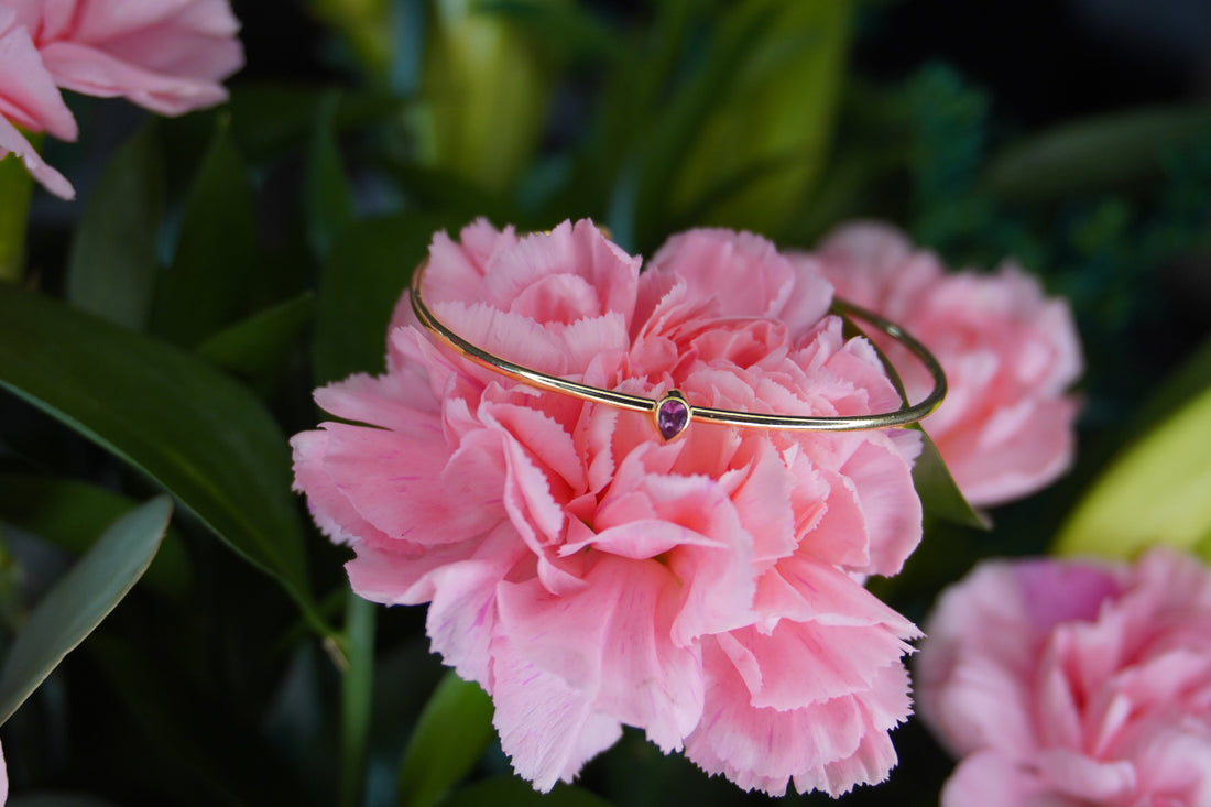 Sugar, Sparkle, and Summer Hues