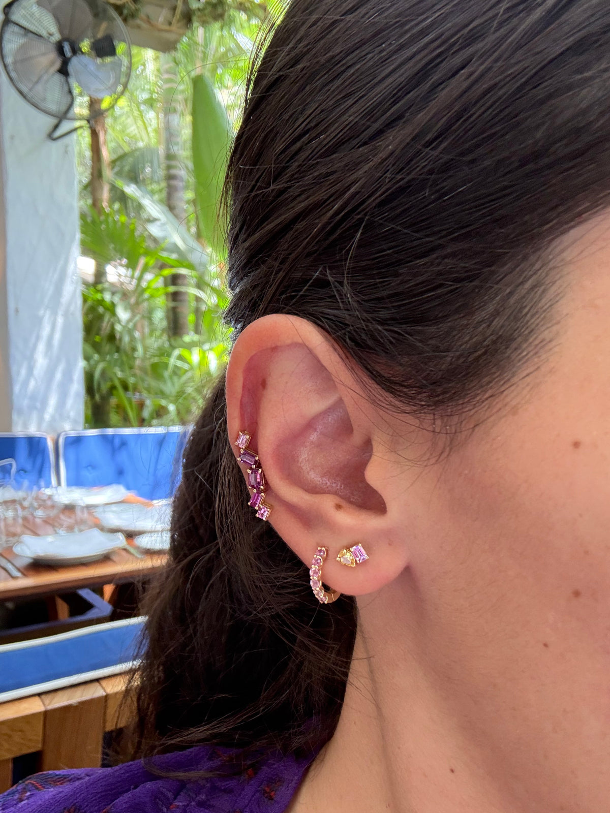 The Cluster Ear Climbers