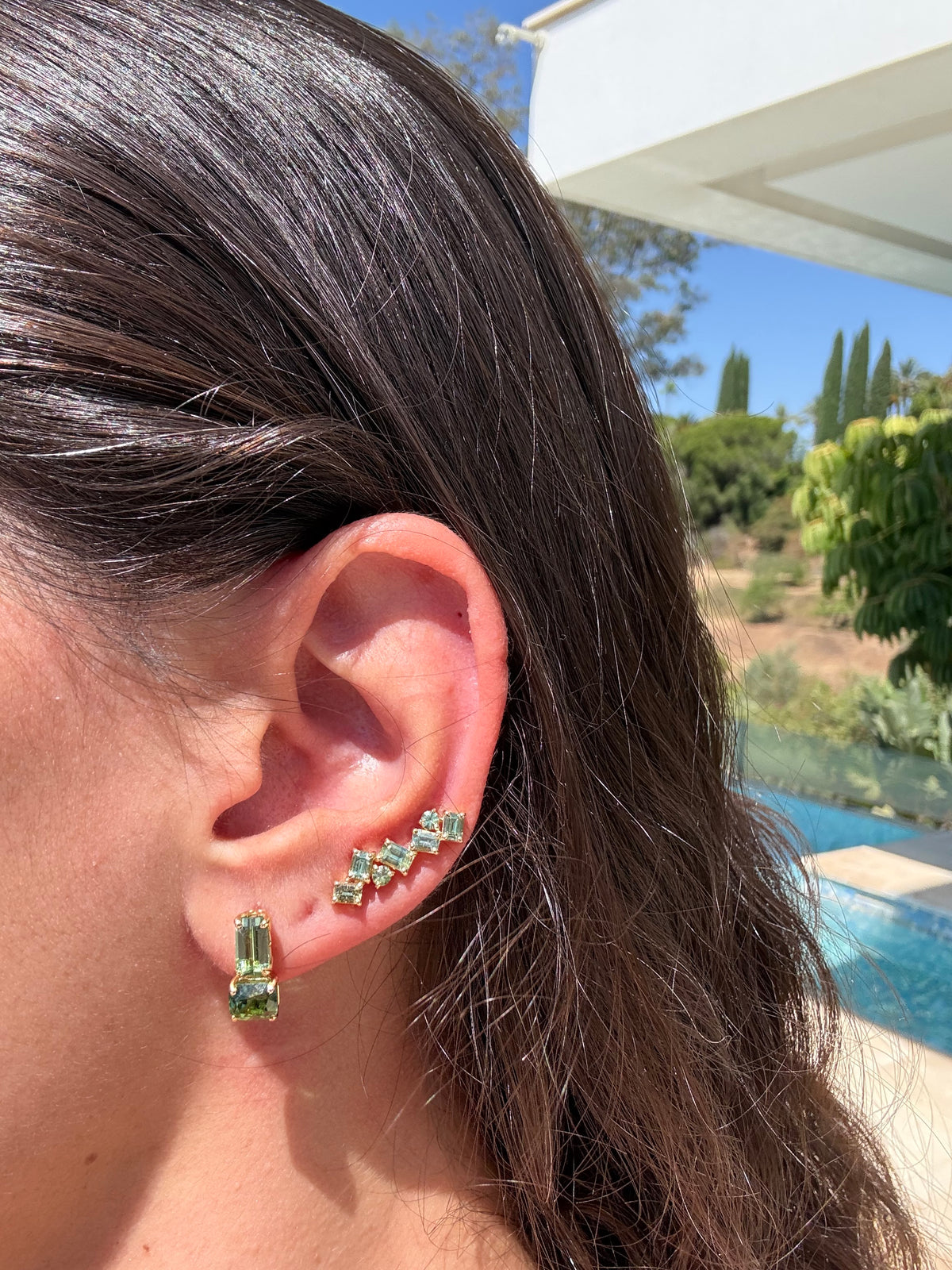 The Cluster Ear Climbers