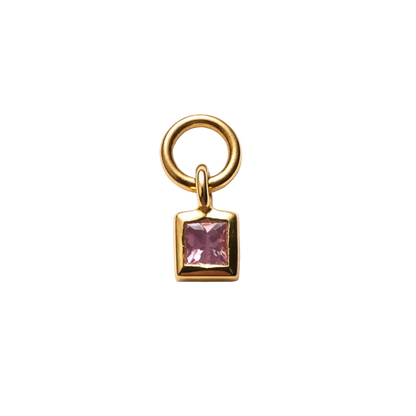 Huggie Charms